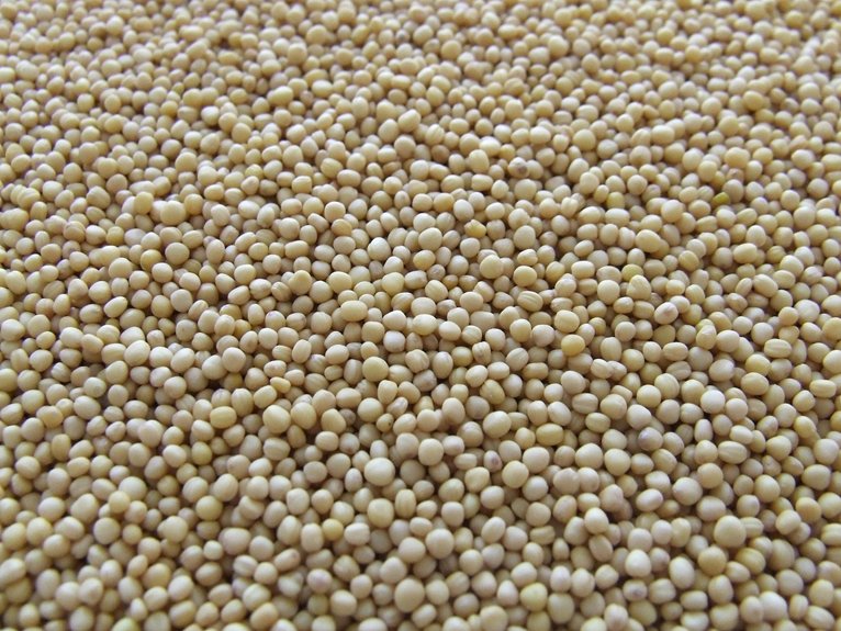 soy sauce vegetarian suitability check